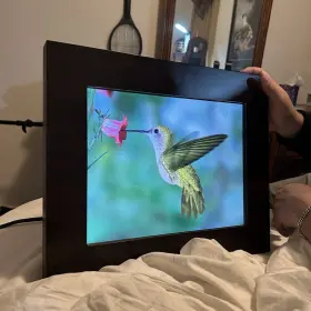 599324 Brookstone Affordable Digital Picture Frame 15in Great Condition
