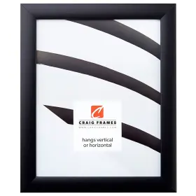 1wb3bk1114a Craig Frames 1wb3bk 11 By 14-inch Picture/poster Frame Smooth Finish 1-inch