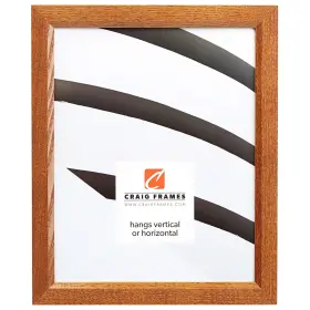 82616101922 Craig Frames 8261610 Real Wood Grain Finish 19 By 22-inch Picture/poster Fram