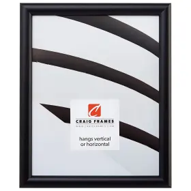 Fw2bk0810a Craig Frames Fw2bk 8 By 10-inch Picture Frame Smooth Finish .765-inch Wide