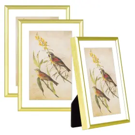 5x7-3p Fkvat 763967572460 Picture Frame Matte Gold Brushed Thin Metal Float Photo With Hd