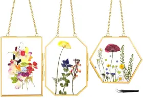 Fc-pcfr0108 Fochier F 3 Pcs Pressed Flower Frames With Tweezers Wall Hanging Double Glas