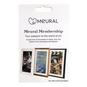Mcmya-10000s Meural Netgear Annual Membership Car For Digital Picture Frame Art Mcmya10000s