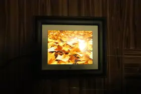 Pan80-2 Pandigital 092235000542 8 Inch Digital Picture Frame #2