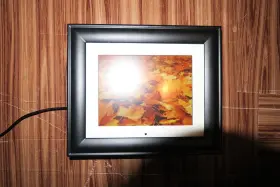 Pan80-2 Pandigital 092235000542 8 Inch Digital Picture Frame