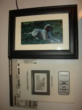 P7000w01-w Pandigital Hp Model Digital 7 Inch Frame Used Working