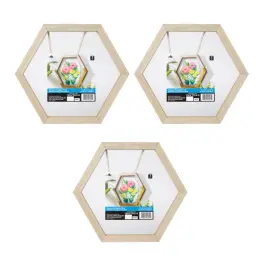 56985 Plaid 3 Pack Unpainted Wood Surface Hexagon Plexiglass Frame