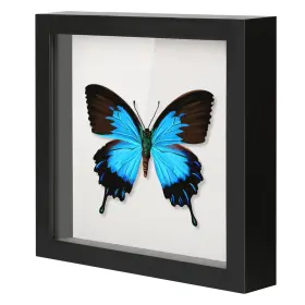 Qdssdeco 709930269821 12x12 Shadow Box Frame With Linen Backboard And Real Glass Wood Displ