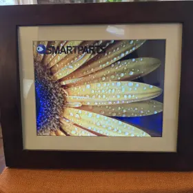 Spx12 Smart Parts Smartparts 12.1 Inch Digital Picture Frame Tested And Working With Power Adaptor Remote