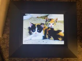 Ad801 Sungale 8 Inch Digital Photo Frame With Remote Slideshow Plays Music And Video #2