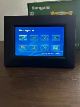 Aw-110 Sungale 10.2 Hi-definition Digital Photo Frame Model #2