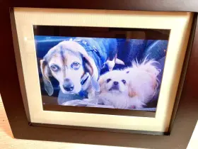 Sdpf808 Sylvania 058465777739 8ftft Digital Photo Frame Used/tested/working