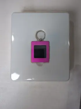 23420 The Sharper Image Pink Usb 2.0 Digital Photo Keychain 60 Images Charging With Cable #3