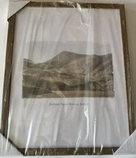 84674459 Threshold Designed W/studio Mcgee Individual 16 Inch X 20 Glass Textbook Photo Frame -