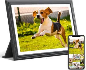 Tolove 313100775762 10.1 Inch Wifi Digital Picture Frame 16gb Storage Hd Touch Screen