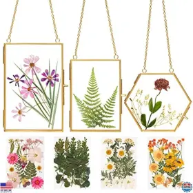 B09w12j6zr Visit The Relaxing Garden Store Double Glass Frame With Dried Flowers And Tweezers For Pressed Art Keepsakes