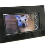 Etec 9" Digital Photo Frame PF9100 Music, Video, Calendar, Alarm Wall-mount. Fixed Price $8.55.