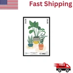 Mainstays 24X36 Basic Black Poster Frame Free Shipping Usa. Fixed Price $18.04.