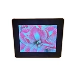 Aluratek Inch Digital Photo Frame AWDMPF208F. Fixed Price $27.99.