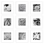 9PK Gallery Perfect Picture Frame White - Solutions. Fixed Price $28.99.