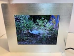 Brookstone (digital Show 8" Frame) Plays Music, & Video. Fixed Price $24.08.