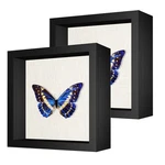 2 Packs 8X8 Shadow Box Frame With Linen Back - Sturdy Rustic Memory Display C.... Fixed Price $34.16.