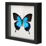 Qdssdeco 12X12 Shadow Box Frame With Linen Backboard Real Glass, Wood Displa.... Fixed Price $38.32.