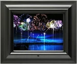 Framewizard 8-INCH Digital Picture Black. Fixed Price $118.78.