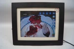 Pandigital PAN1002W02T Touch Photo Frame 10.4" Screen Blk Working F111. Fixed Price $33.00.