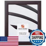 Craig Frames 232477781622 1-INCH Wide Picture/poster Smooth Wood Grain. Fixed Price $42.89.