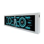 Vsdisplay 8.8 Inch Computer Lcd Monitor With Theme Editor 480X1920 Ips Pc Case. Fixed Price $66.73.