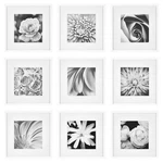 Gallery Perfect's 9-PIECE Square Photo Frame Stunning Display With Wal. Fixed Price $89.41.