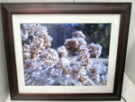 Excellent Viewsonic 15" Digital Picture Frame, VFM1536-11. Fixed Price $99.99.