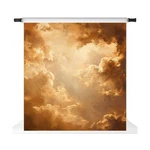 Kate Abstract Backdrops Cloudy Portrait Background Head Shot Photograph.... Fixed Price $134.32.