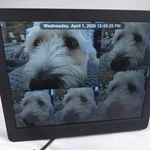 Pix Star 10" Wi Fi Hires 1024X768 Digital Photo Frame W/remote 8GB Storage $199. Fixed Price $49.97.