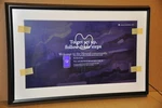 Netgear Meural Canvas Wi-fi Digital Art Frame With Ac Adapter 29" X 18.5". Fixed Price $278.99.