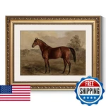 Arpeotcy Vintage Gold Framed Horse Wall Art, Bedroom Bathroom Living Classi. Fixed Price $40.81.